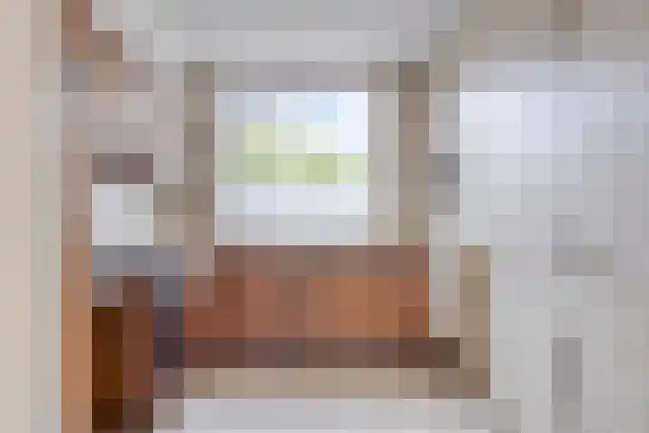 Rosmolen 47 Heerhugowaard thumbnail 15