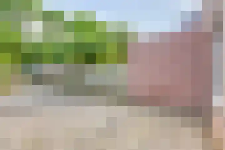 Rosmolen 47 Heerhugowaard thumbnail 37