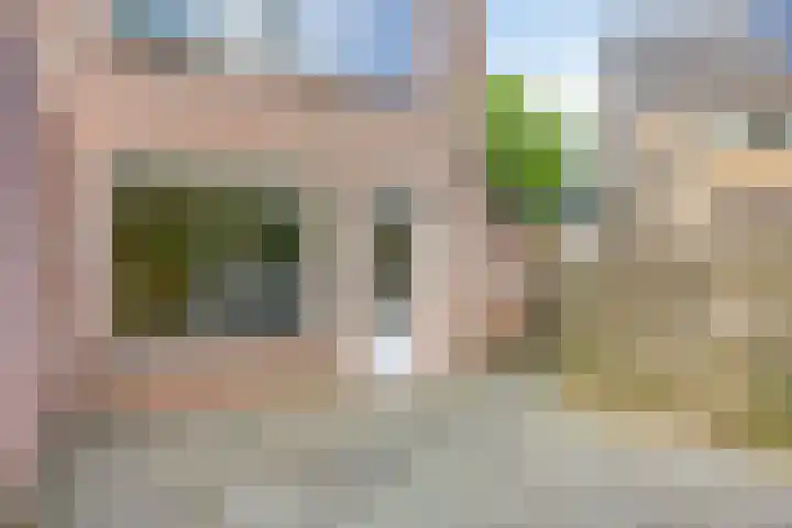 Rosmolen 47 Heerhugowaard thumbnail 39