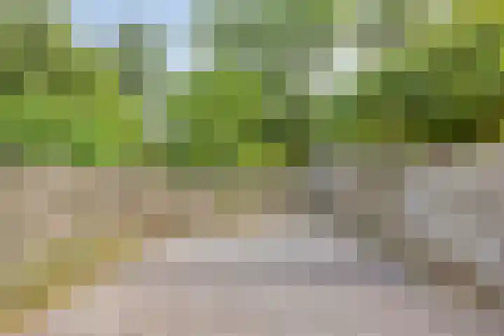 Rosmolen 47 Heerhugowaard thumbnail 4