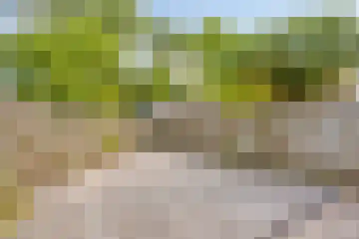 Rosmolen 47 Heerhugowaard thumbnail 40