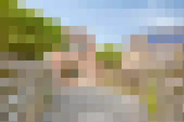 Rosmolen 47 Heerhugowaard thumbnail 41