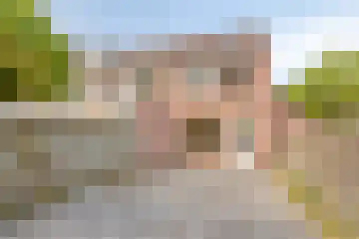 Rosmolen 47 Heerhugowaard thumbnail 42