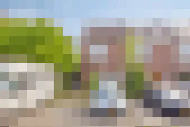 Rosmolen 47 Heerhugowaard thumbnail 47