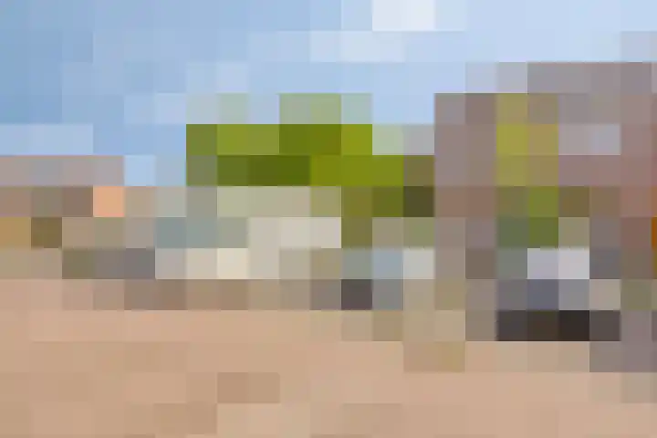 Rosmolen 47 Heerhugowaard thumbnail 5