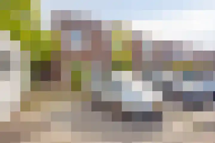 Rosmolen 47 Heerhugowaard thumbnail 6