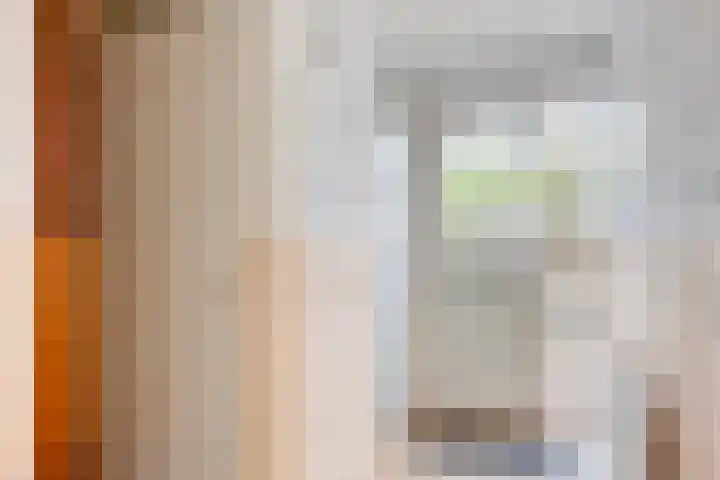 Rosmolen 47 Heerhugowaard thumbnail 7