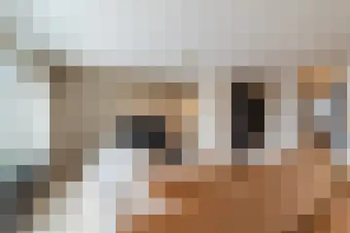 Rosmolen 47 Ridderkerk thumbnail 11