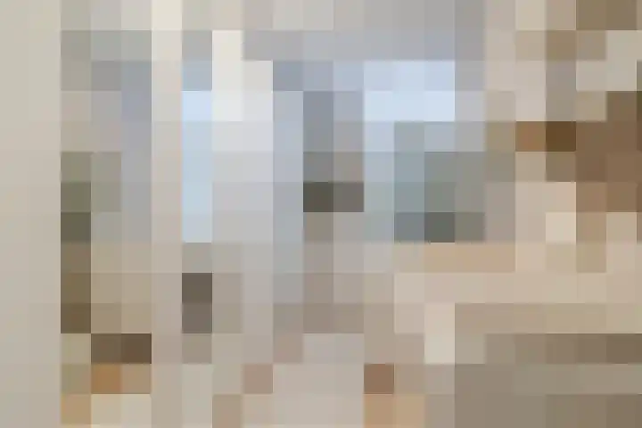 Rosmolen 47 Ridderkerk thumbnail 27