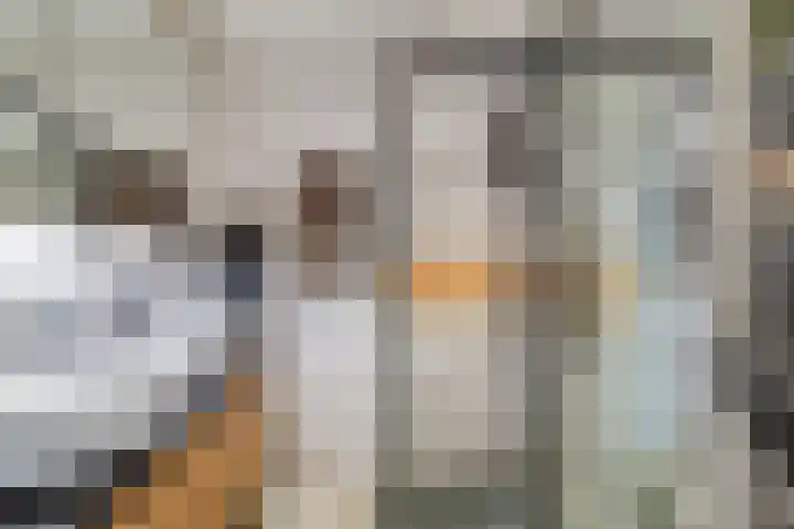 Rosmolen 47 Ridderkerk thumbnail 28