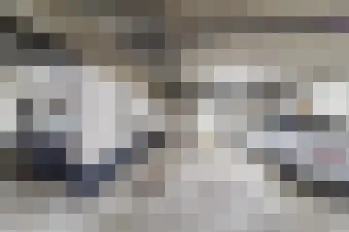 Rosmolen 47 Ridderkerk thumbnail 30