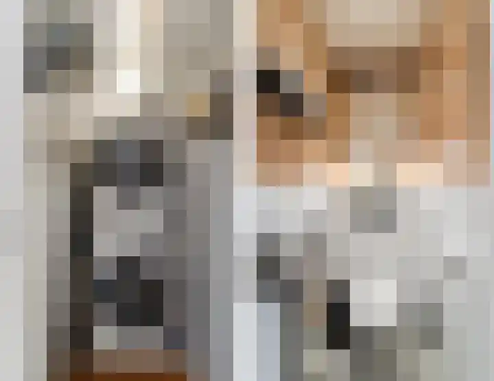 Rosmolen 47 Ridderkerk thumbnail 9