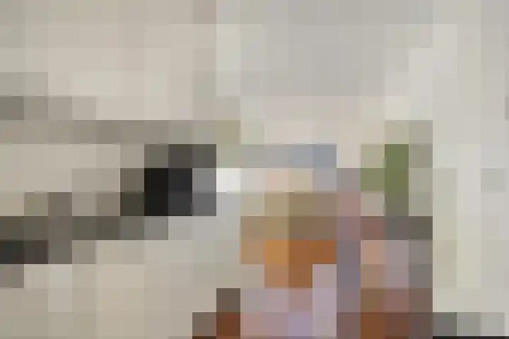 Rosmolen 50 Leiden thumbnail 18