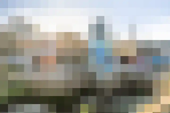 Rosmolen 50 Leiden thumbnail 25