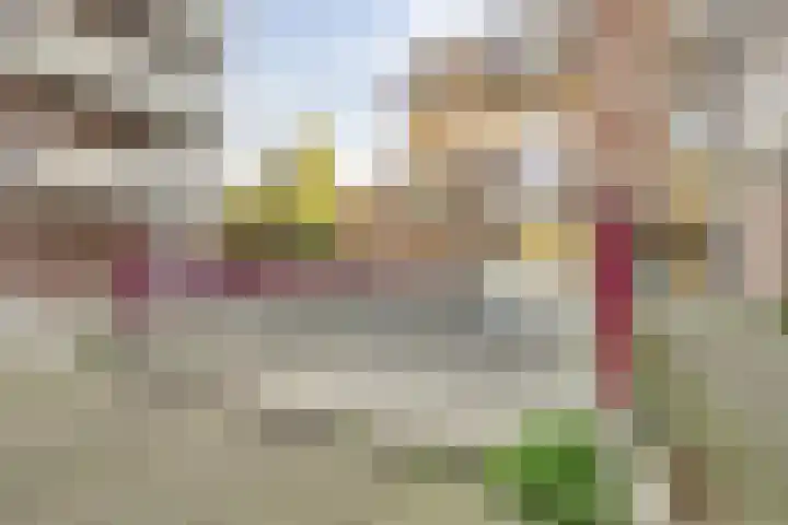 Rosmolen 50 Leiden thumbnail 26