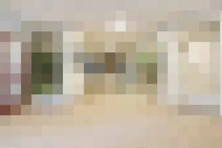 Rosmolen 50 Leiden thumbnail 5
