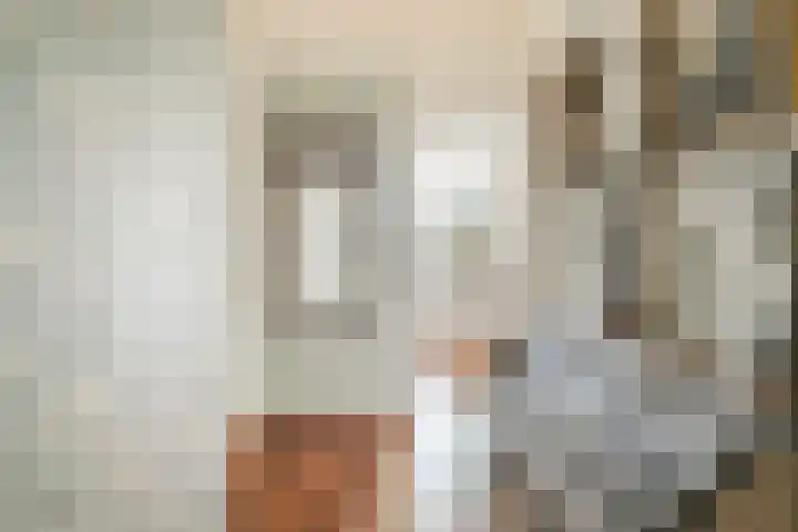 Rosmolen 50 Leiden thumbnail 8