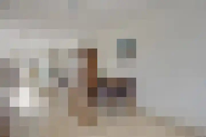 Rosmolen 54 Alphen aan den Rijn thumbnail 11