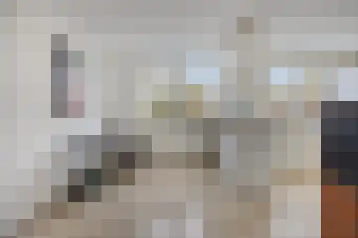 Rosmolen 54 Alphen aan den Rijn thumbnail 12