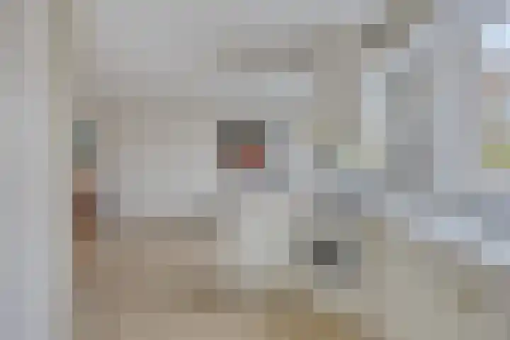 Rosmolen 54 Alphen aan den Rijn thumbnail 15