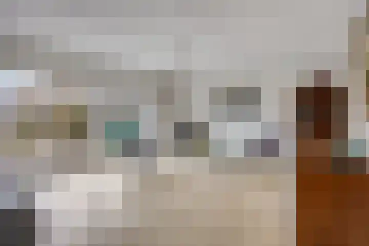 Rosmolen 54 Alphen aan den Rijn foto 2