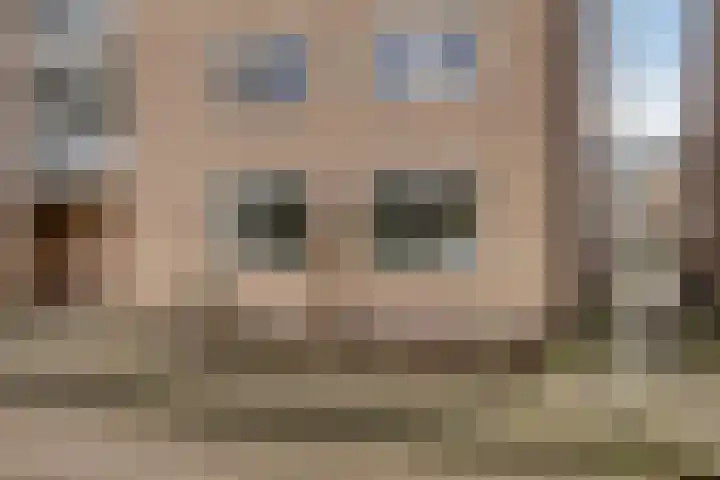 Rosmolen 54 Alphen aan den Rijn thumbnail 30