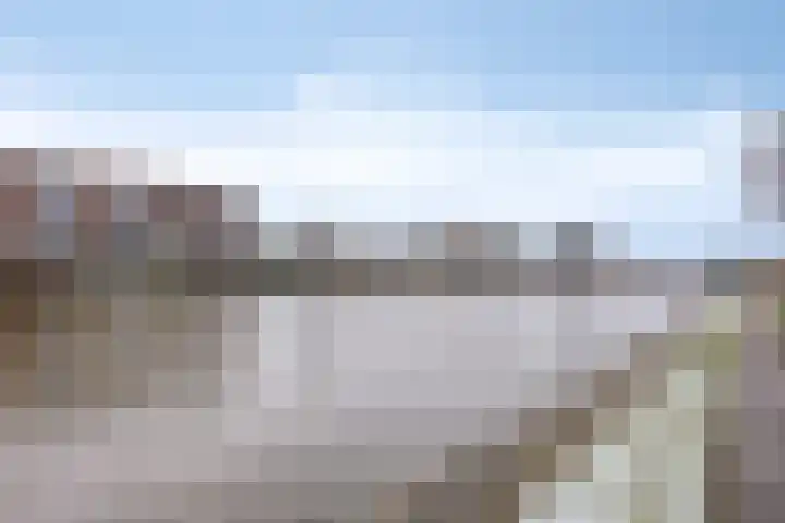 Rosmolen 54 Alphen aan den Rijn thumbnail 31