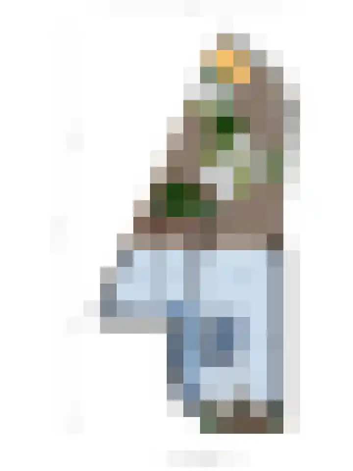 Rosmolen 54 Alphen aan den Rijn thumbnail 35