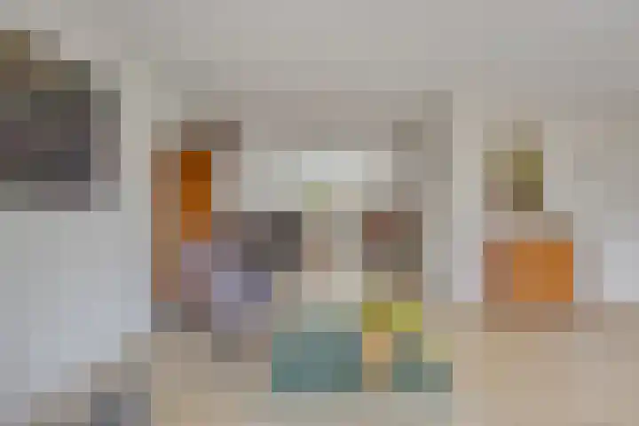 Rosmolen 54 Alphen aan den Rijn thumbnail 4
