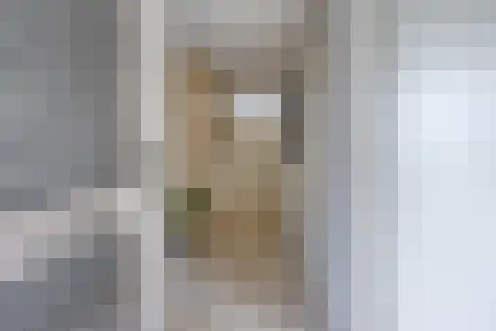 Rosmolen 54 Alphen aan den Rijn thumbnail 6