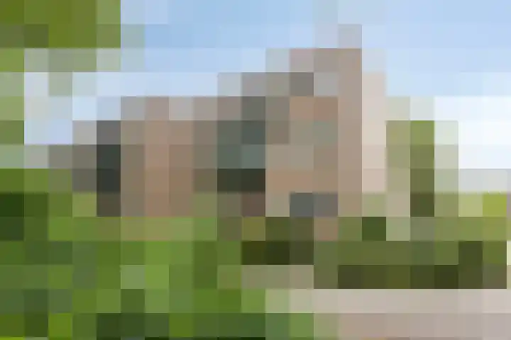 Rosmolen 54 Ridderkerk