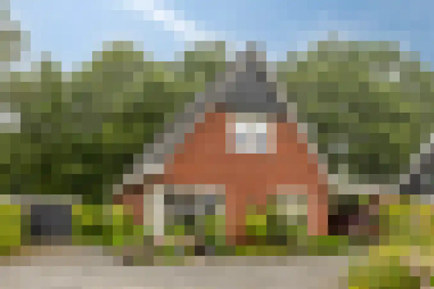 Rosmolen 55 in de Lutte