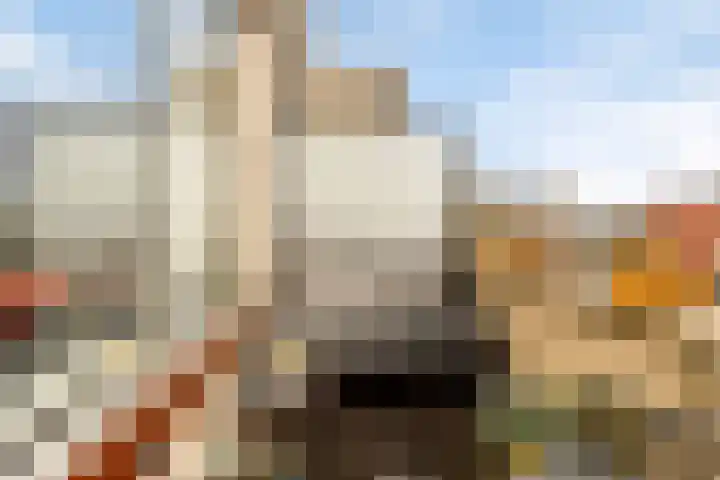 Rosmolen 57 Alphen aan den Rijn thumbnail 10