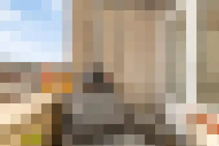Rosmolen 57 Alphen aan den Rijn thumbnail 11
