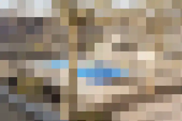 Rosmolen 57 Alphen aan den Rijn thumbnail 23