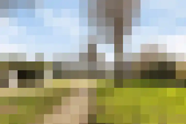 Rosmolen 57 Alphen aan den Rijn thumbnail 26