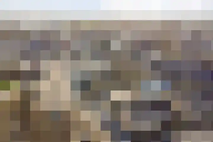 Rosmolen 57 Alphen aan den Rijn thumbnail 27