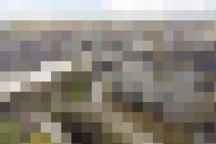 Rosmolen 57 Alphen aan den Rijn thumbnail 29