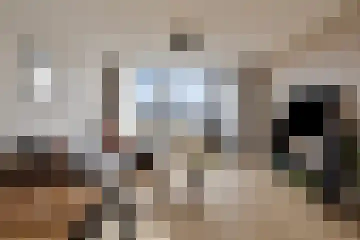 Rosmolen 57 Alphen aan den Rijn foto 3