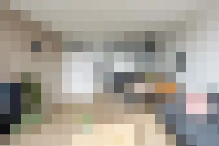 Rosmolen 57 Alphen aan den Rijn thumbnail 4