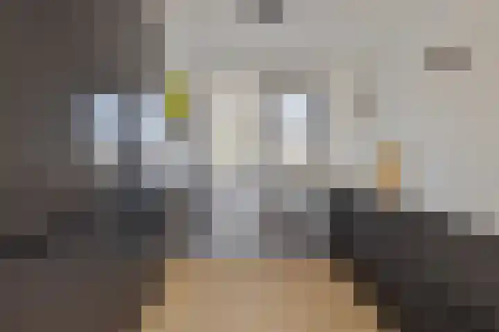 Rosmolen 57 Alphen aan den Rijn thumbnail 5