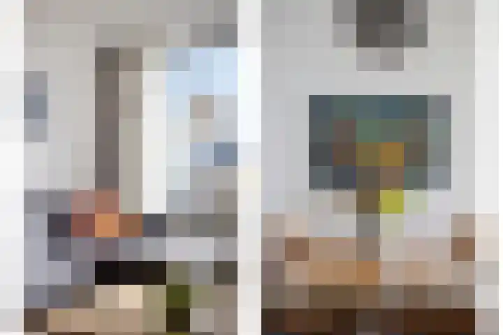 Rosmolen 57 Alphen aan den Rijn thumbnail 8