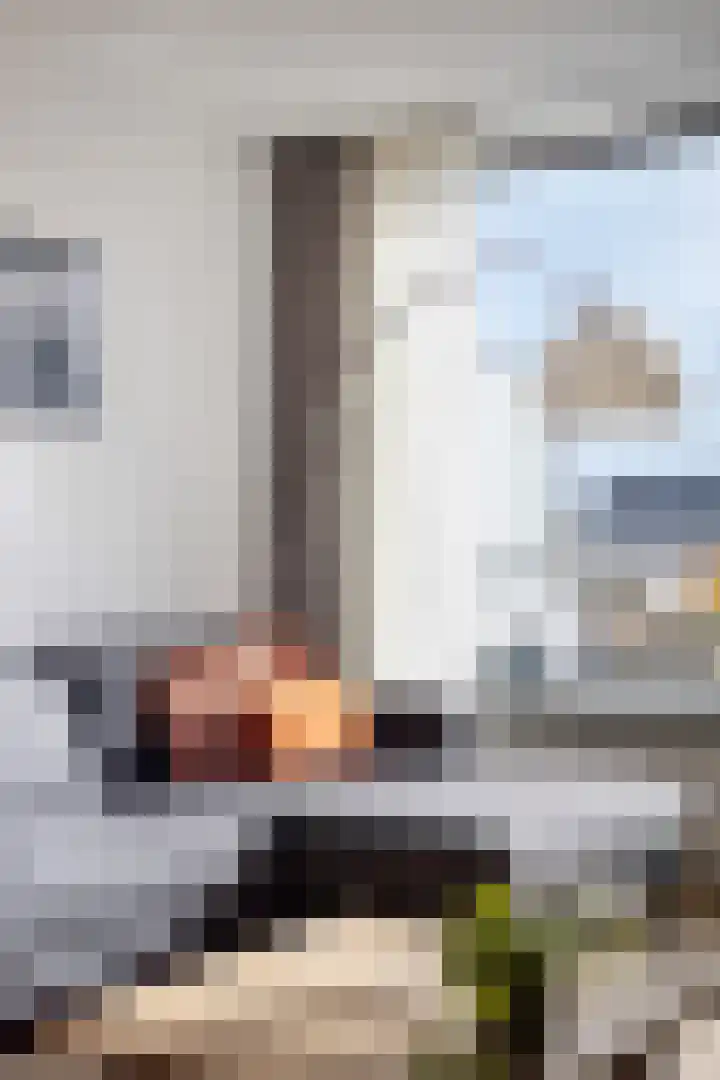 Rosmolen 57 Alphen aan den Rijn thumbnail 9