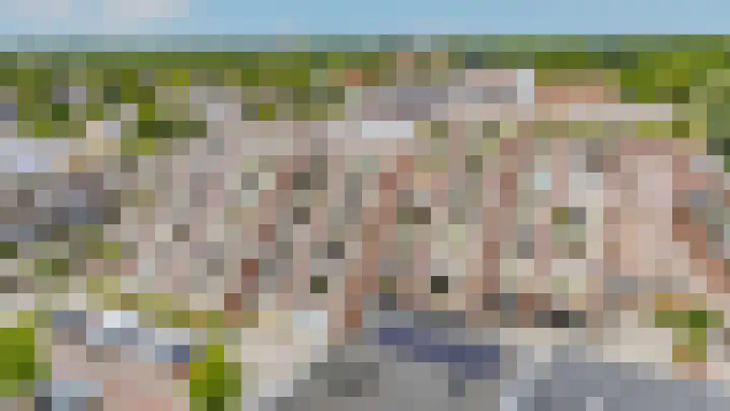 Rosmolen 64 Leiden thumbnail 10