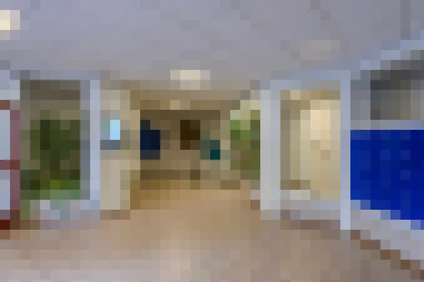 Rosmolen 64 Leiden thumbnail 12