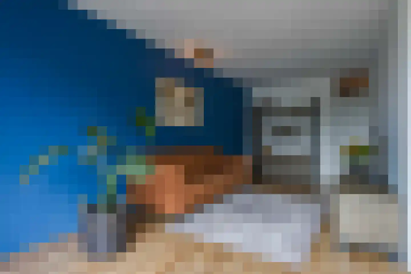 Rosmolen 64 Leiden thumbnail 18