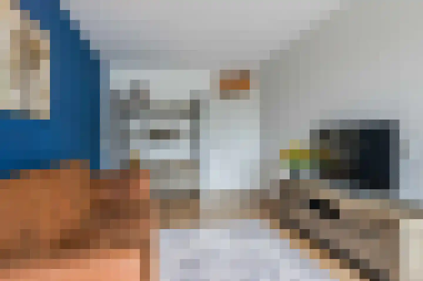 Rosmolen 64 Leiden thumbnail 20