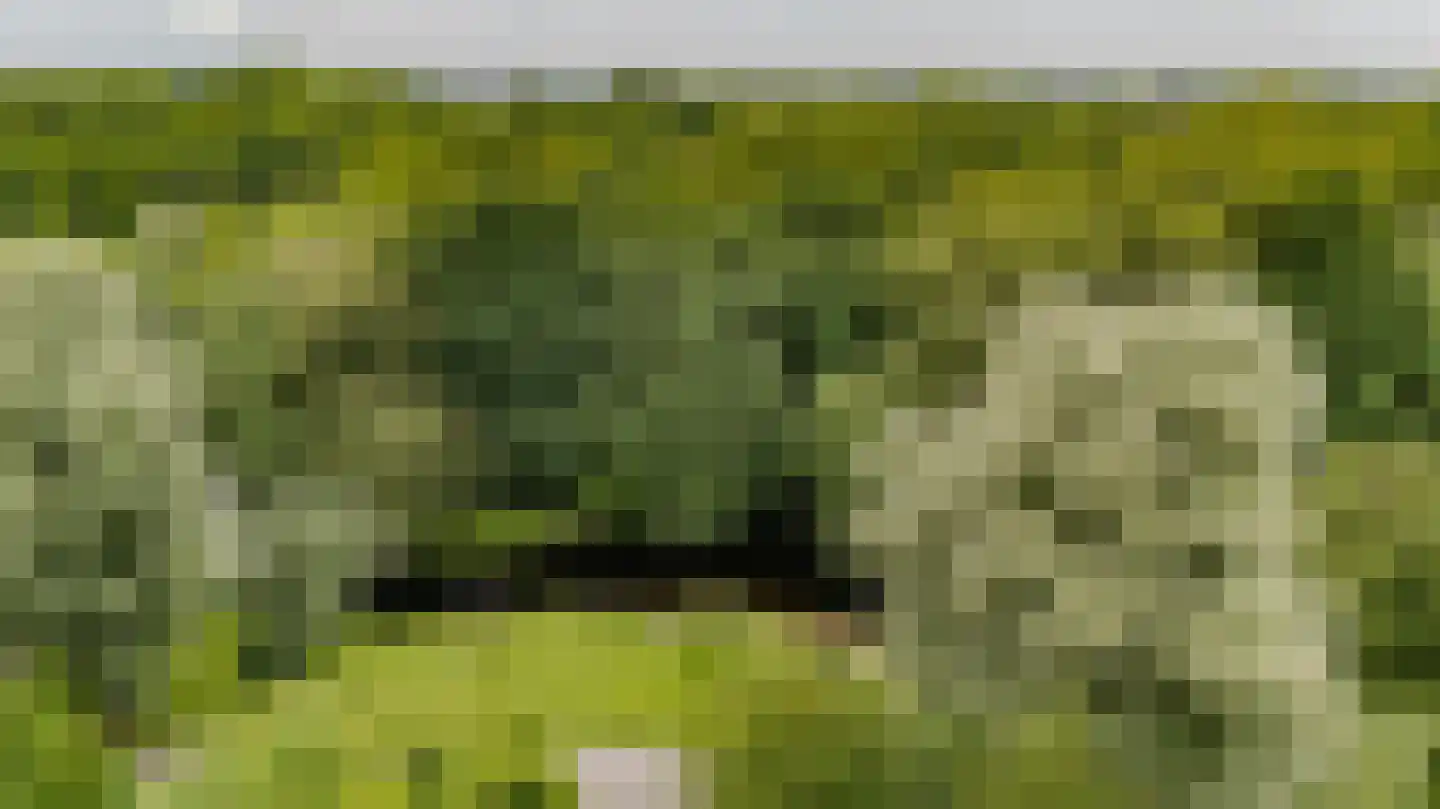 Rosmolen 64 Leiden thumbnail 48