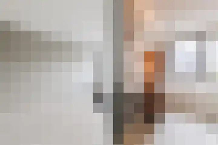 Rosmolen 7 Zwolle thumbnail 32