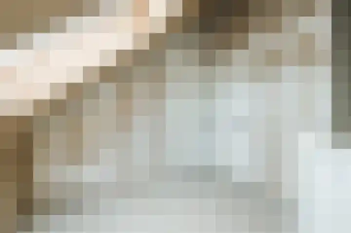 Rosmolen 7 Zwolle thumbnail 37